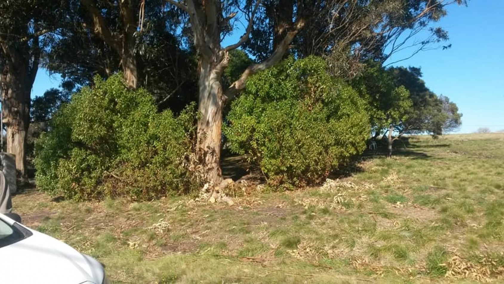 Lote de terreno en Chapadmalal oportunidad!!!